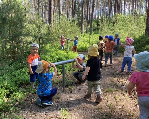 Kinder entdecken den Wald 